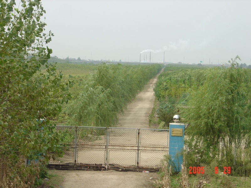 南(nán)通錦繡河山苗木基地近況（十月）